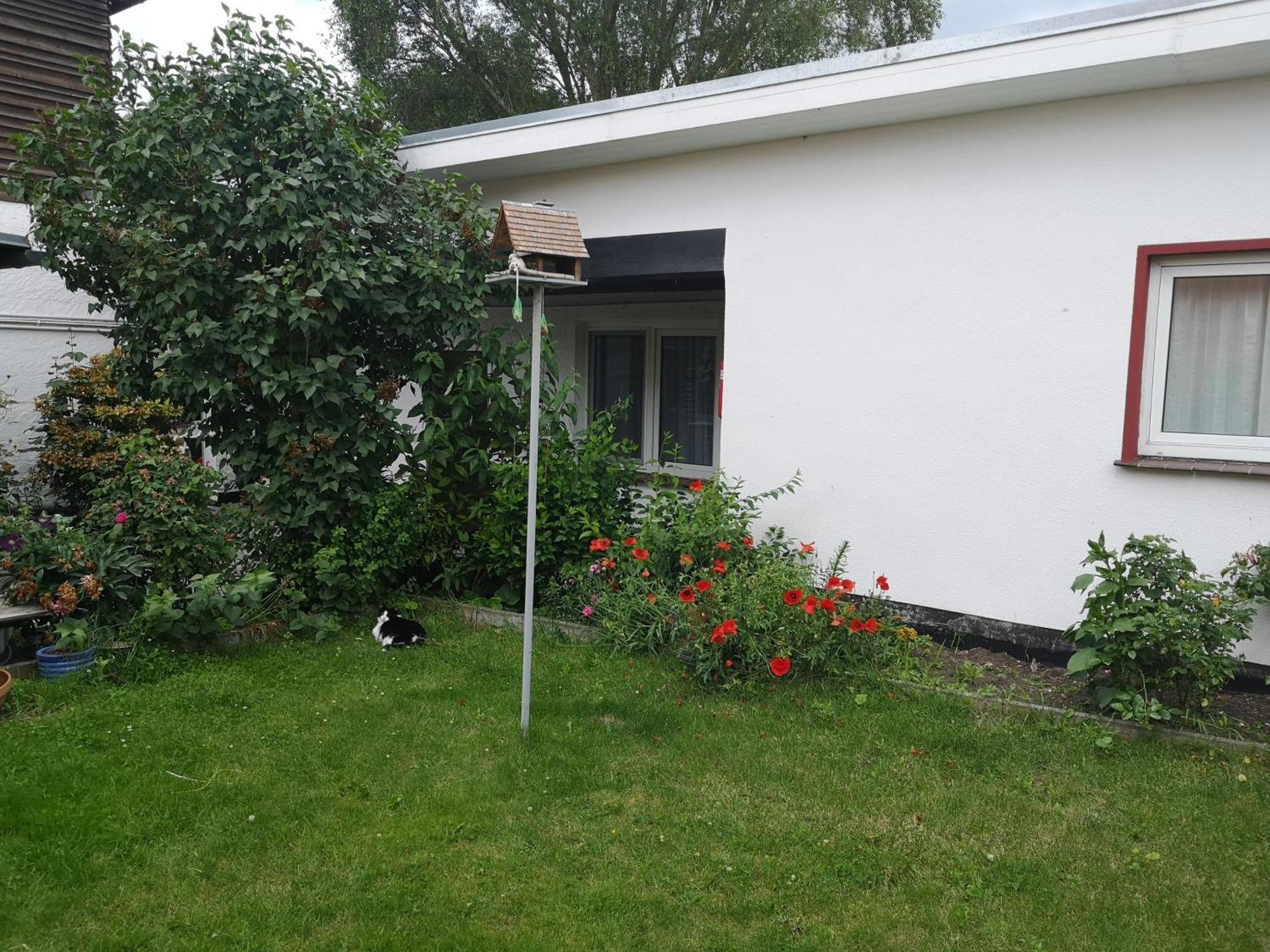 Uschi'S Gasthof Neuendorf  Luaran gambar